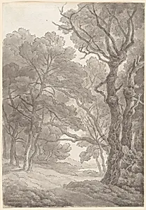 Trees at Fordland, Devon