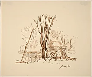 Trees, Bench, Walk