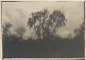 Trees