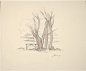 Trees, Picnic Table, Trash Can