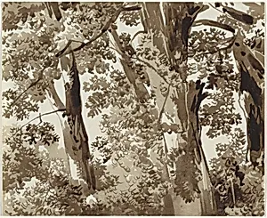 Trees with Dense Undergrowth