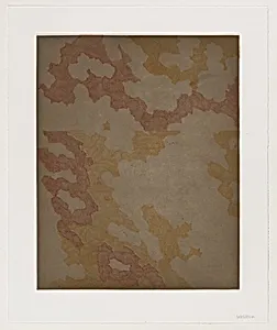 Trial Pattern: Western [working proof 2]