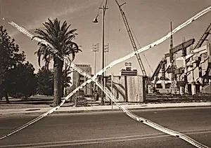 Tucson Palm