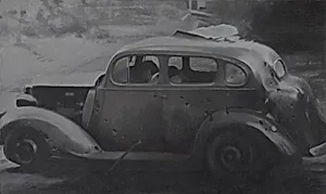 Tulip Car #1