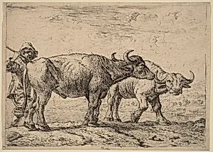 Two Buffaloes and a Herdsman