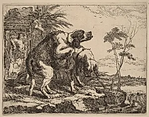 Two Dogs Copulating