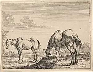 Two Grazing Horses