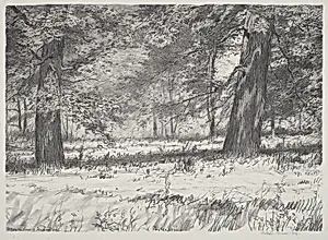 Two Maples