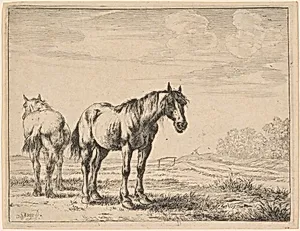 Two Plow Horses Standing in a Field