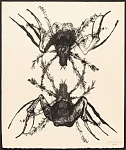Two Tarantulas