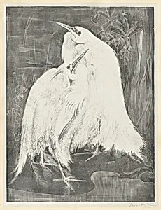 Two White Egrets