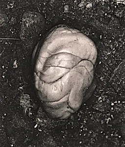 Underfoot I