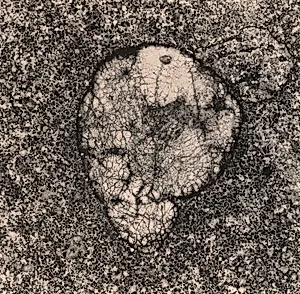 Underfoot II