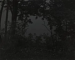 Untitled #16 (At Lake Erie)