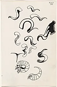 Untitled 2-3-71 [study for "tattoo" book]