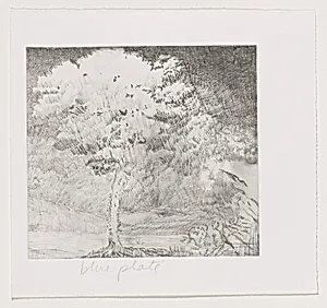 Untitled (#2) [working proof 1c]