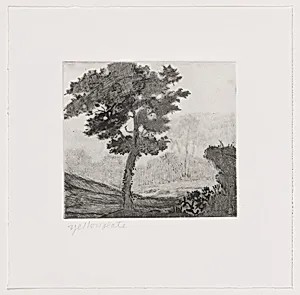Untitled (#2) [working proof 1d]