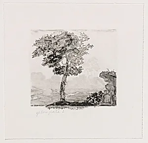Untitled (#2) [working proof 1e]