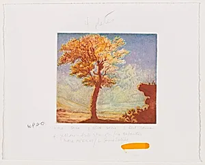 Untitled (#2) [working proof 20]