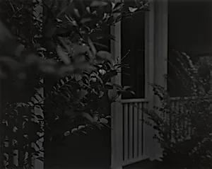 Untitled #4 (Leaves and Porch)