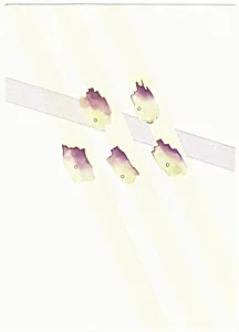 Untitled (5 spots)
