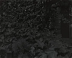 Untitled #8 (Leaves and House)