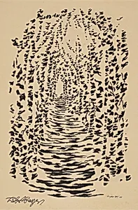 Untitled (Abstract Patterning of Light and Shadow on a Tree-lined Path)