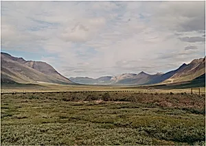 Untitled (Alaskan Pipeline at Atigun Pass, Brooks Range, Alaska)