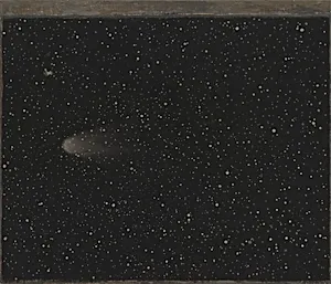 Untitled (Comet)