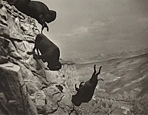 Untitled (Falling Buffalos)