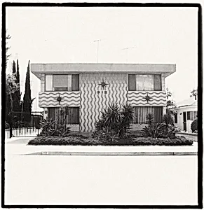 Untitled, from the series Dingbat