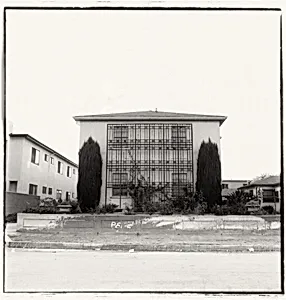Untitled, from the series Dingbat