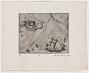 Untitled (Kelp and Oysters)
