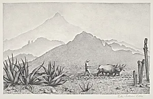Untitled (Mexican Farmer Plowing with Team of Oxen)