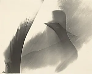 Untitled (Photogenic)