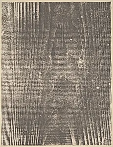 Untitled [plate LXXIII]