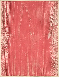 Untitled [plate LXXV]