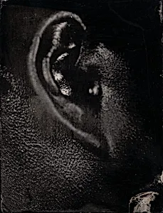 Untitled [Ref. #32]