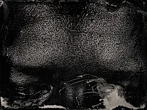 Untitled [Ref. #82]
