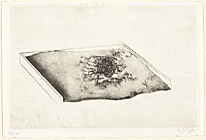 Untitled (Shallow Box)