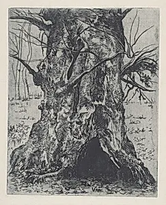 Untitled (Tree Trunk)
