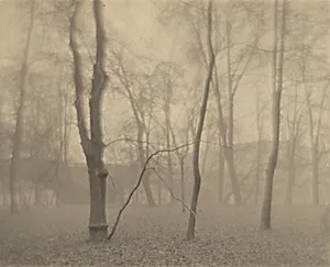 Untitled (Trees)