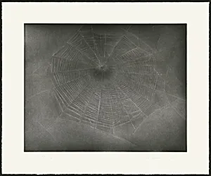 Untitled (Web 3) [special proof]