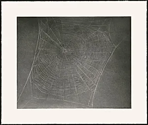 Untitled (Web 4) [special proof]