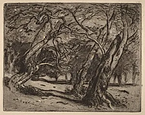 Untitled (Wooded Landscape)