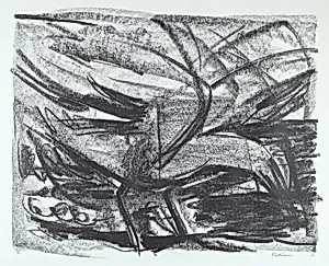 V from Sea Bird Saga