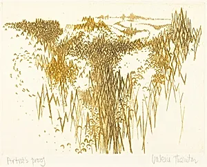Valley (Dordogne)