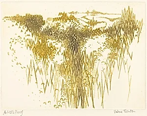 Valley