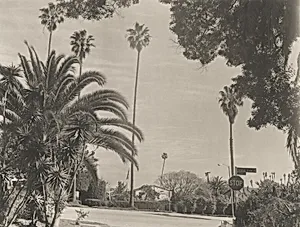 Victoria Avenue/Grandview, Mar Vista