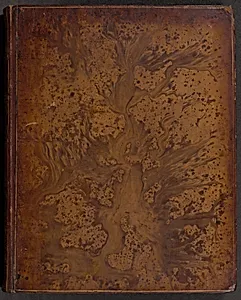 Vida y Hechos del Ingenioso Hidalgo Don Quixote de la Mancha (volume 1)